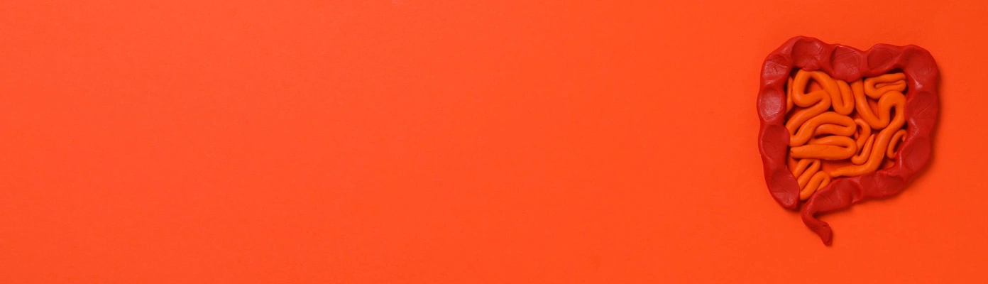 Синдром раздраженного кишечника причины, симптомы и таблетки для лечения